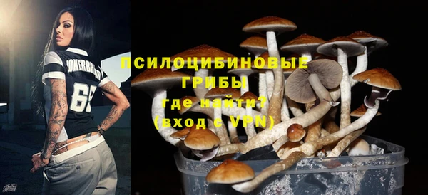 эйфоретик Семёнов