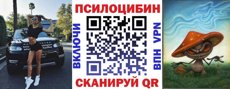 Псилоцибиновые грибы Psilocybe  omg ссылки  Кызыл 